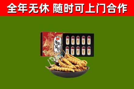陇南回收冬虫夏草价格
